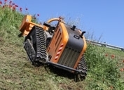RoboFlail Vario