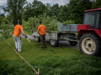 Přípravy výstavy DemoGreen 2019